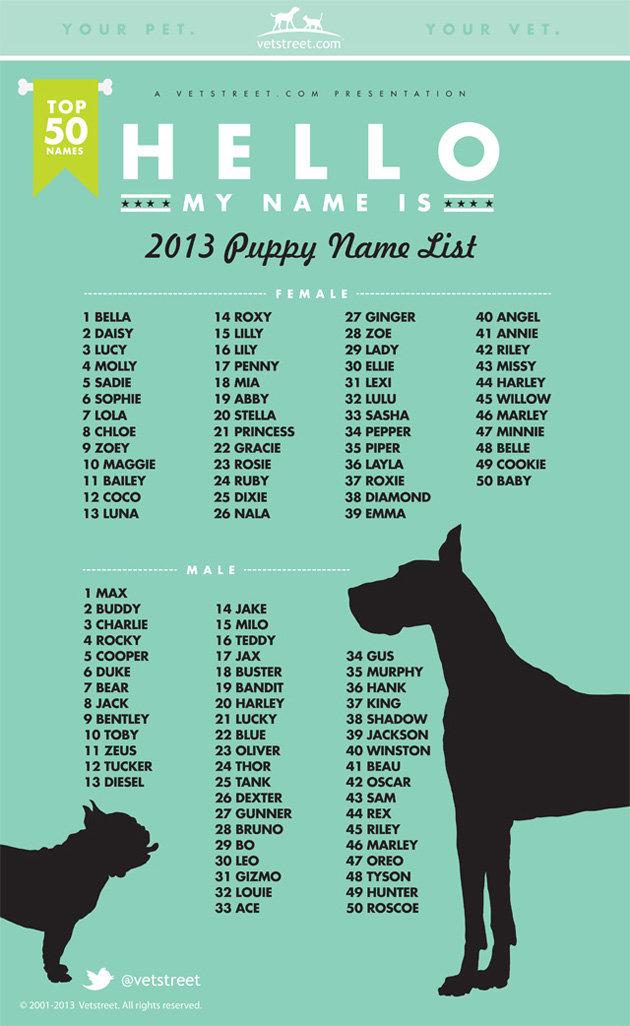 Puppy names 2013